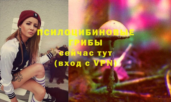 apvp Богородицк